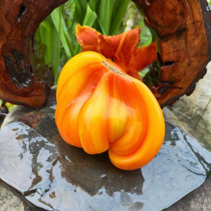 00334 Złote Góry Medeo / Золотые Горы Медео (Kolekcja Vitaly Gennadievich Alifirov)