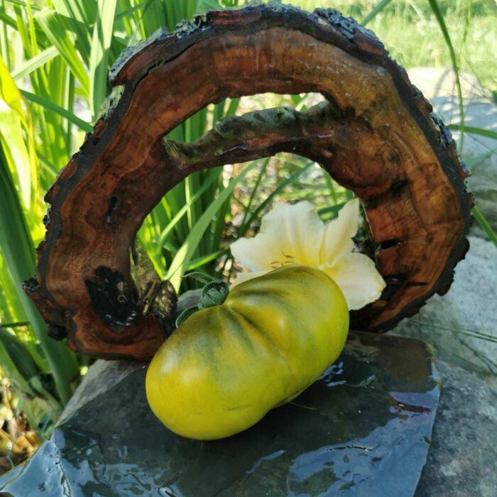 00251 Flander’s Contrast