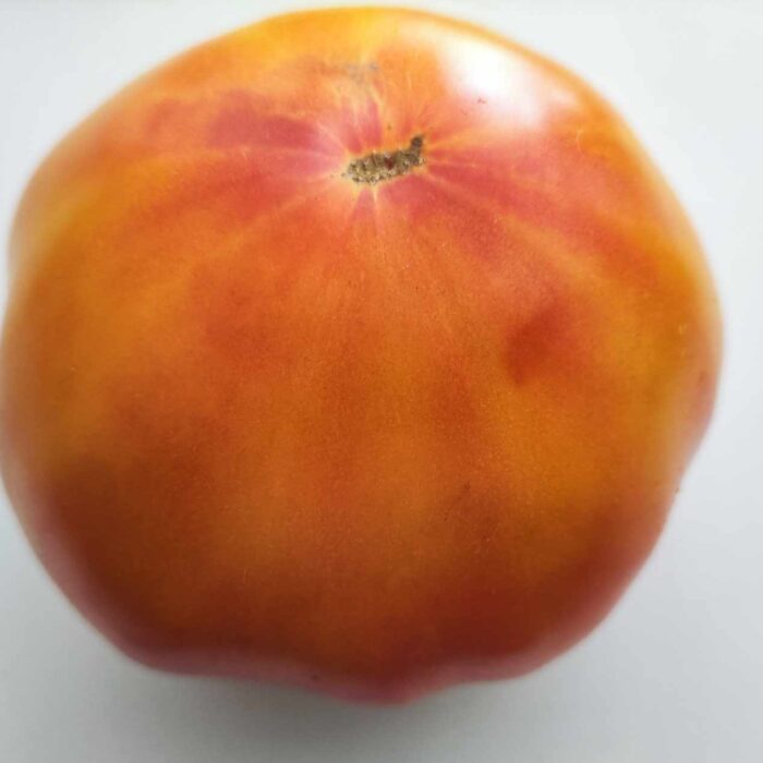 00243 Grandma Viney’s Yellow And Pink