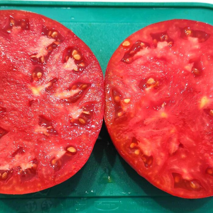 00016 Omar’s Lebanese