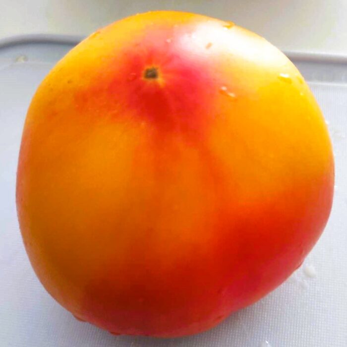 00377 Southern Pride