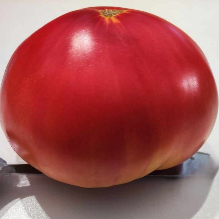 00333 Magik / МАГ (Kolekcja Vitaly Gennadievich Alifirov)