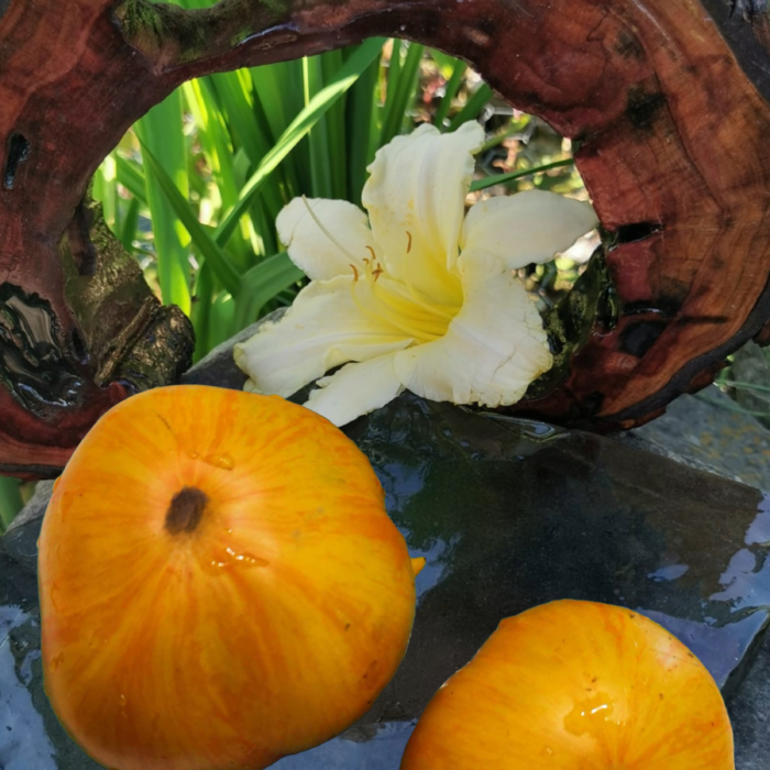 00058 Big Yellow Zebra