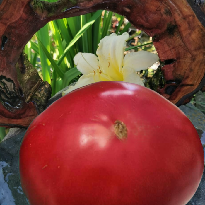 00061 Blue Ridge Mountain