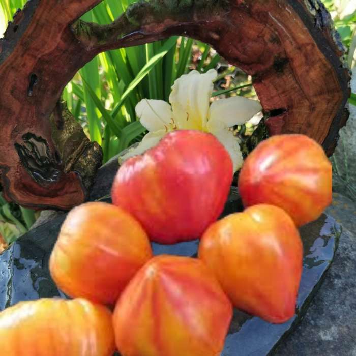 00222 Painted Ukrainian