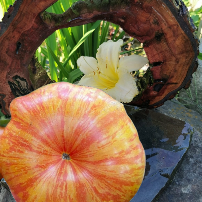 00235 Plan 9 From Outer Space