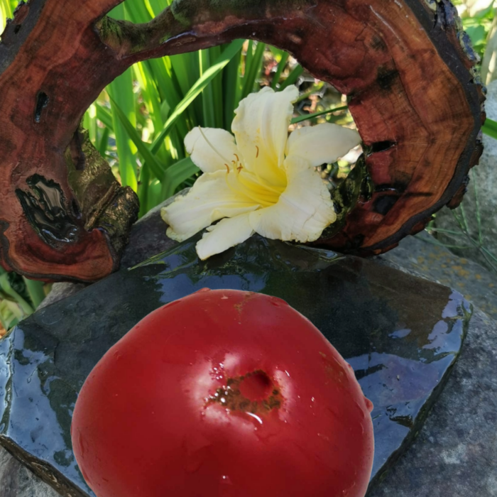 Pomidor Rosa Beefsteak