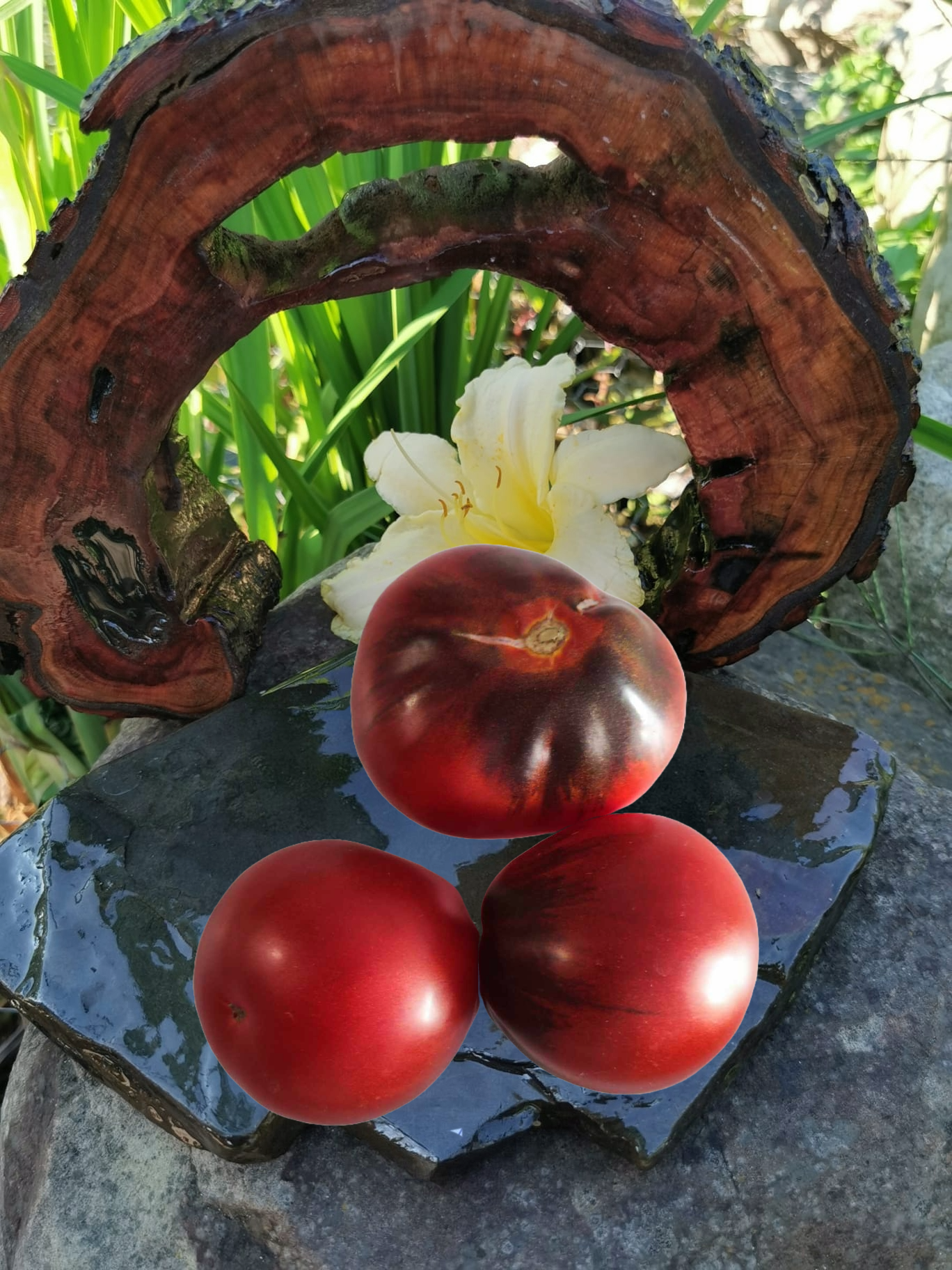 00289 Blue Pear - obrazek 2