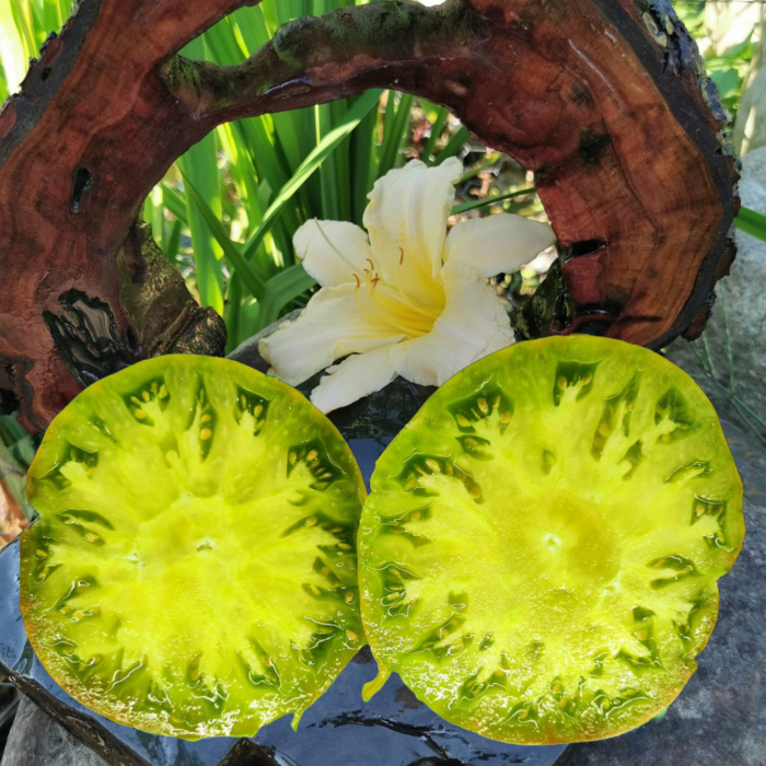 00323 Grub's Mystery Green