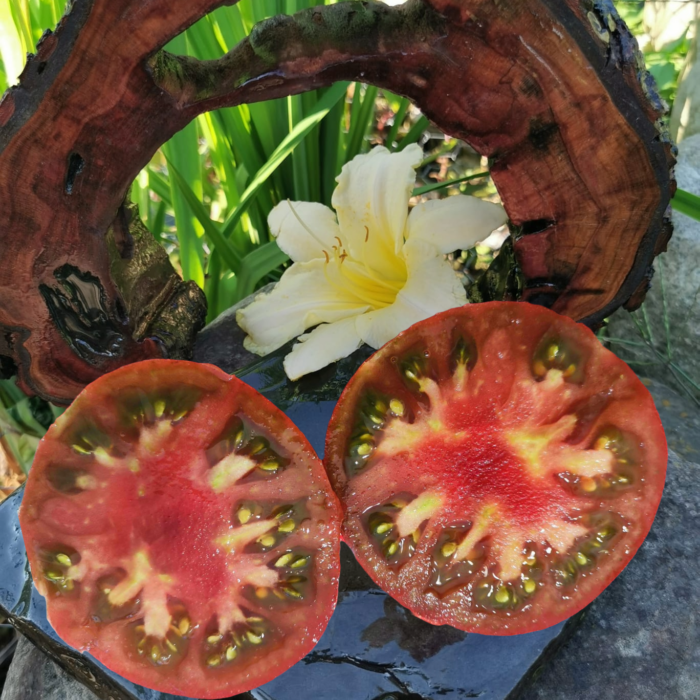 00365 Becker’s Blaue Dolgener