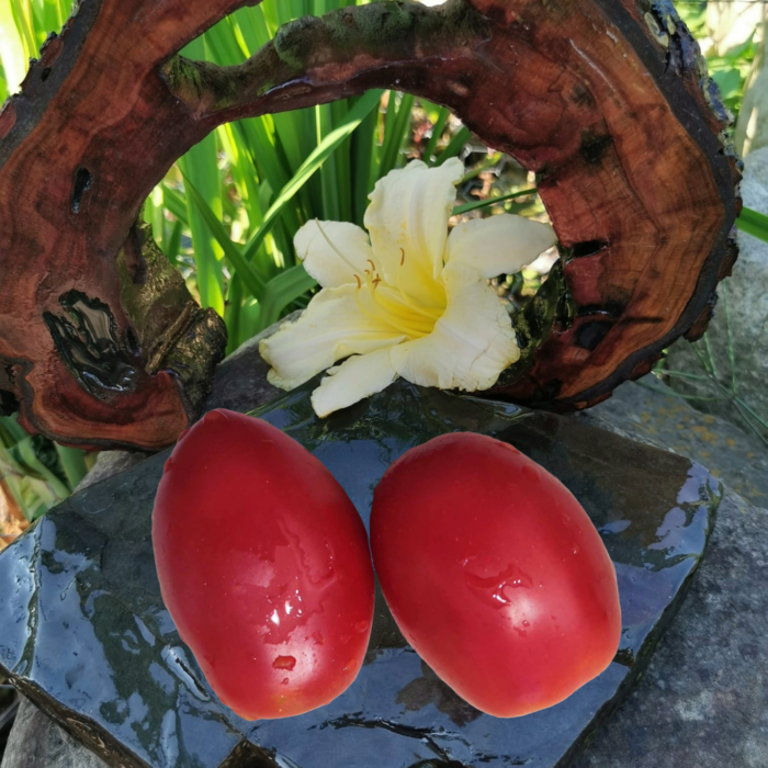 00274 Minusinsk Glasses Red