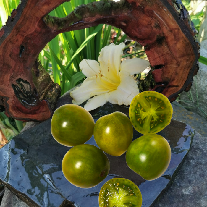 00153 Esmeralda Golosina