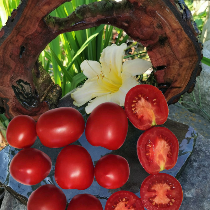 00158 Gospozha Udacha