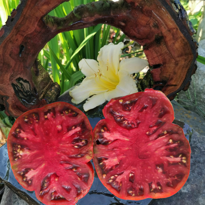 00021 Carol Chyko’s Big Paste Black