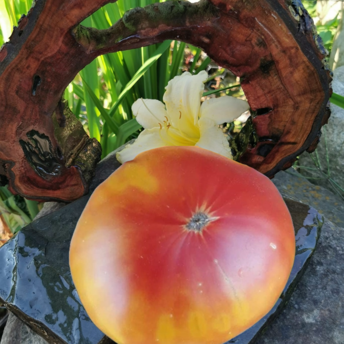 00057 Burracker’s Favorite