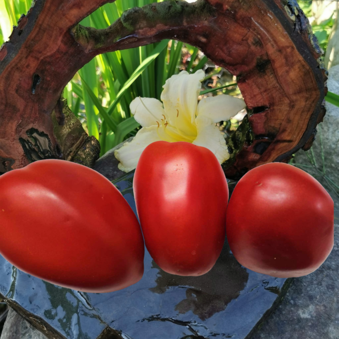 00367 Work Release Paste