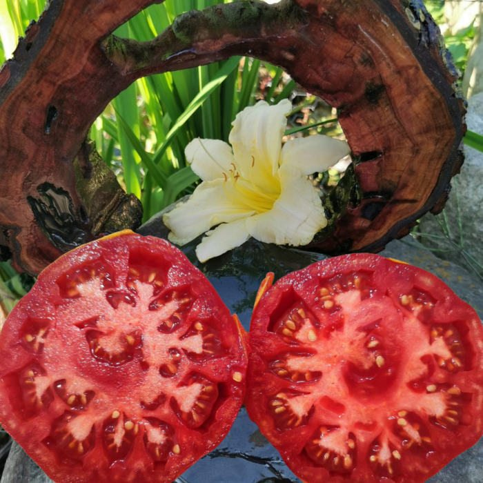 00358 Pantano Romanesco