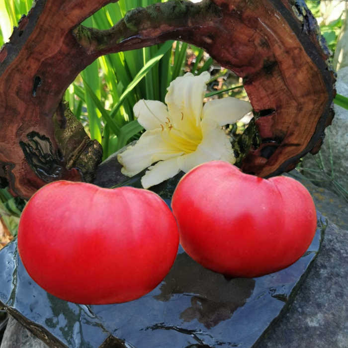 00244 Potato Raspberry