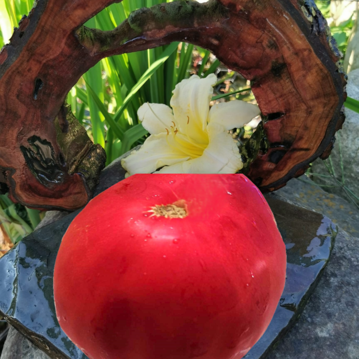 00304 Olena Ukrainian