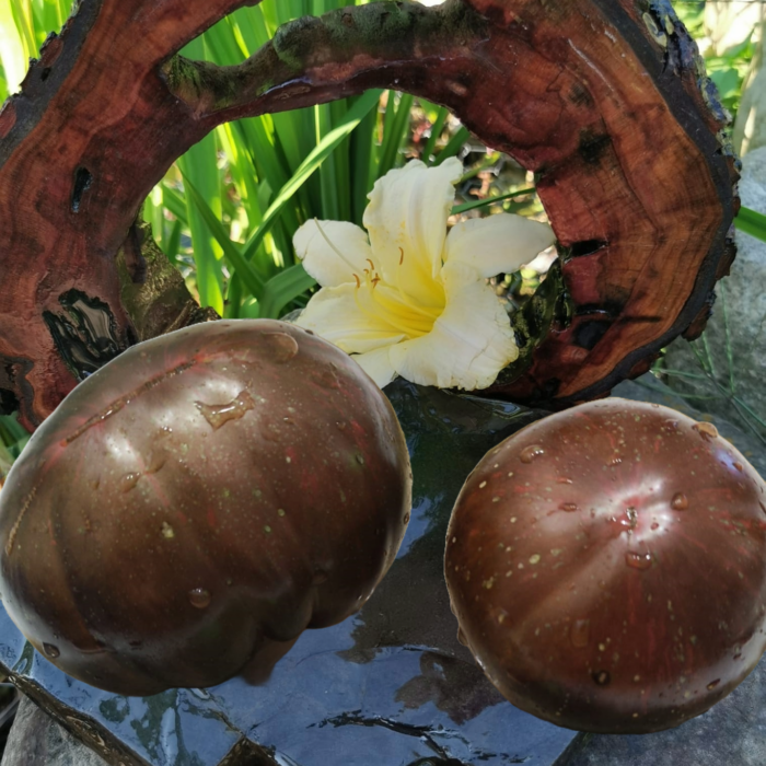 00182 Marsha's Starfighter The Heart