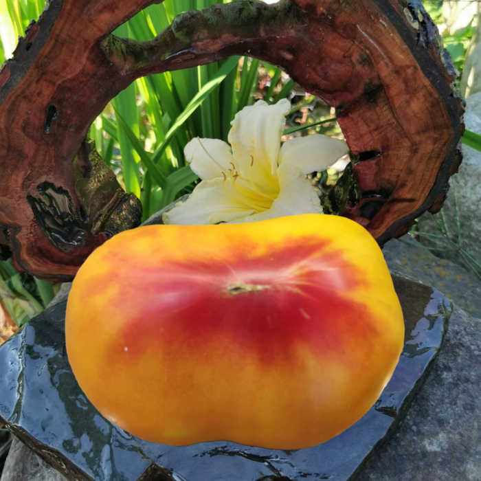 00142 Malibu Pineapple