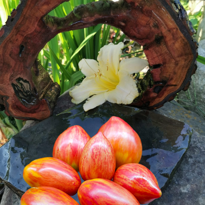 01013 Lady Madonna- Dwarf