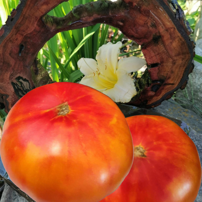 00002 Zagadka Przyrody/ Puzzle Natury