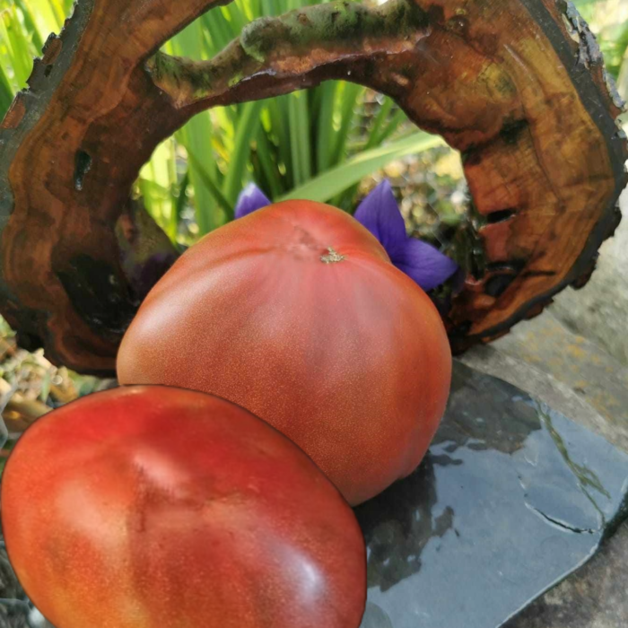 00079 Black Sweet Heart