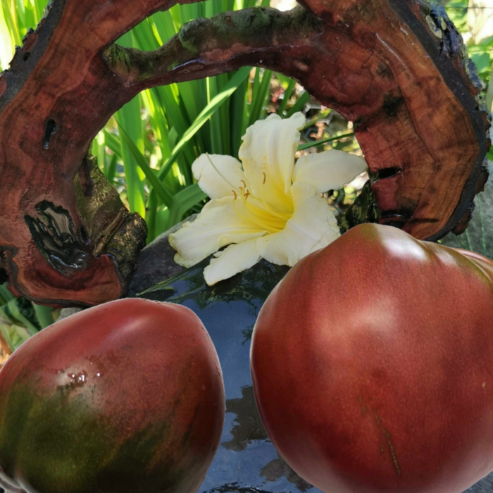 00230 Chernoe Sertse