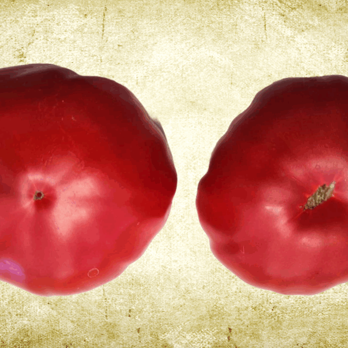 00008 Trefle Du Togo