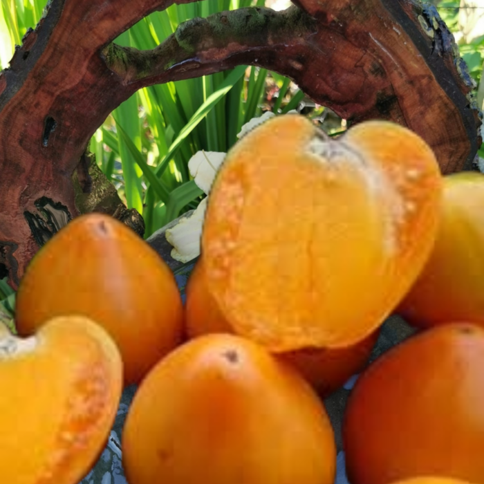 00225 Heart Of Ashgabat