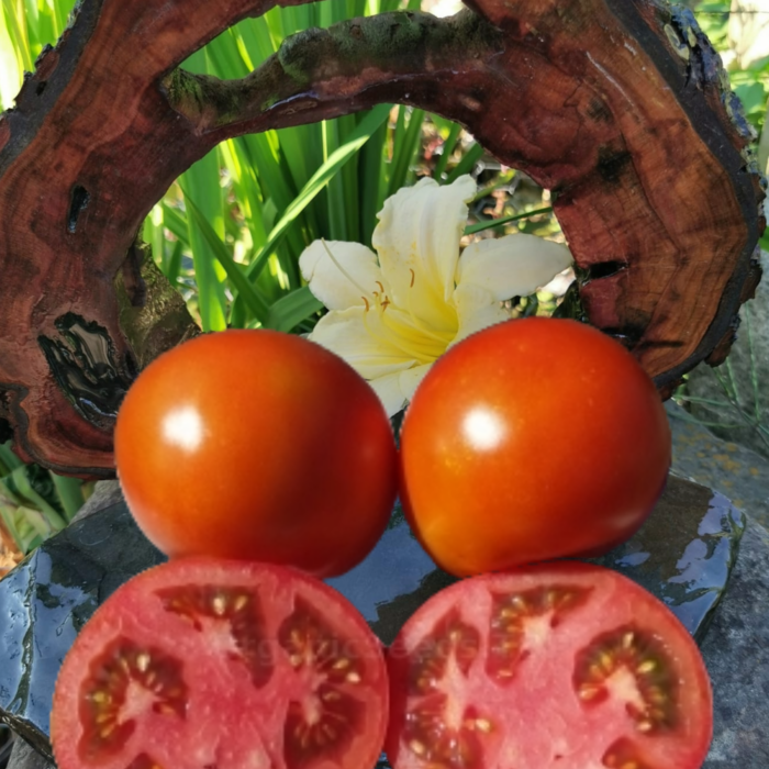 00246 Hlebosol’nyj