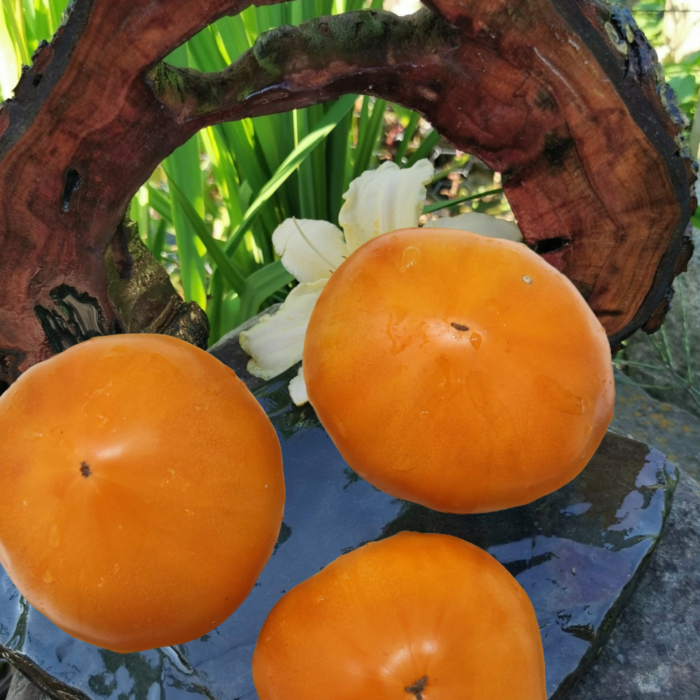 00074 Kellog's Breakfast