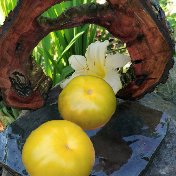 Pomidor Kiwi