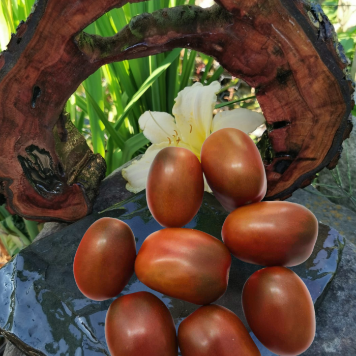 00103 Kropla Granatu (Hranatova kraplya)