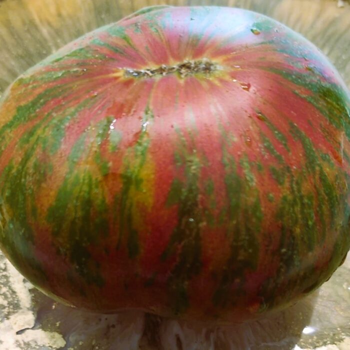 00113 Summer of Love