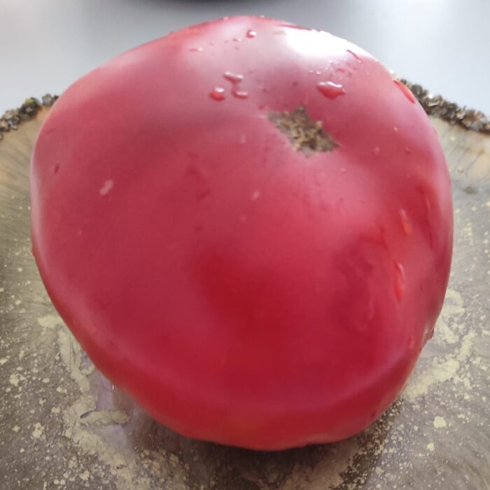 00037 Gruziński Zurab