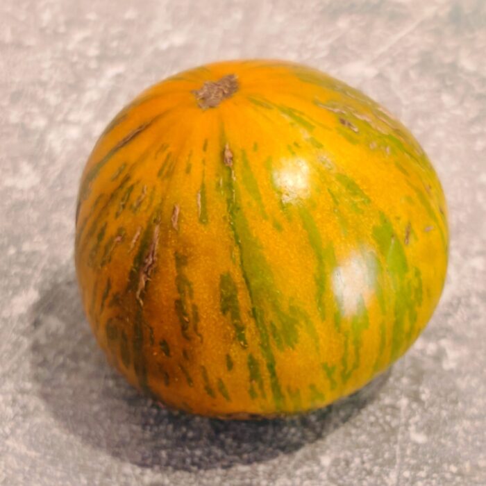 00177 Orange Ghabbana