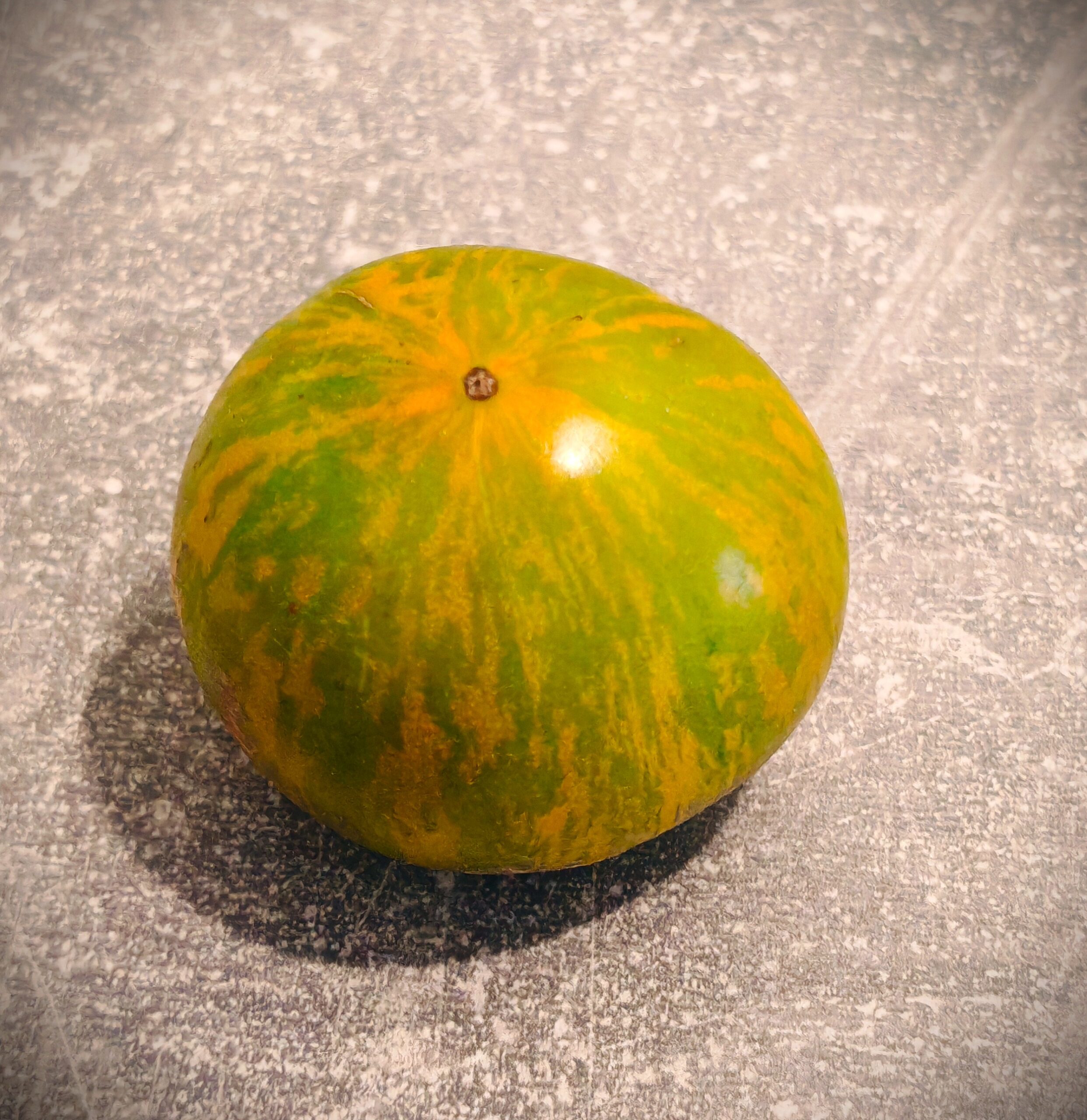 Pomidor Peppermint Stripes- Dwarf
