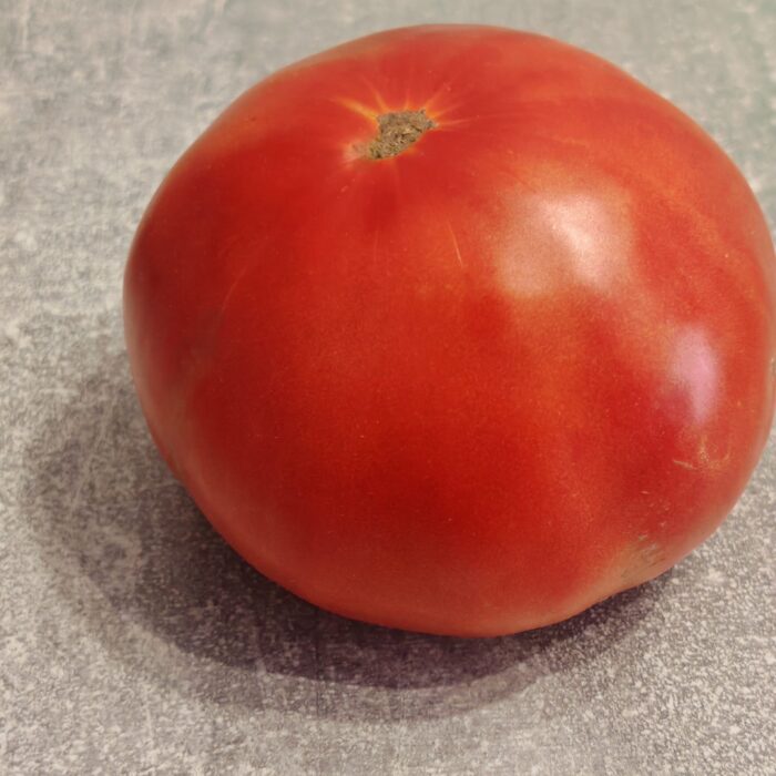 Pomidor Aussie