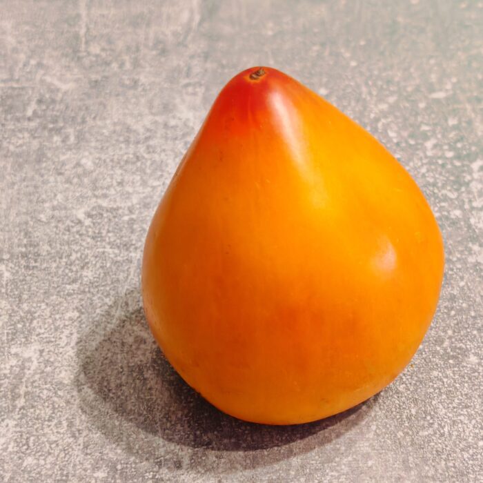 Pomidor Desdemona Heart
