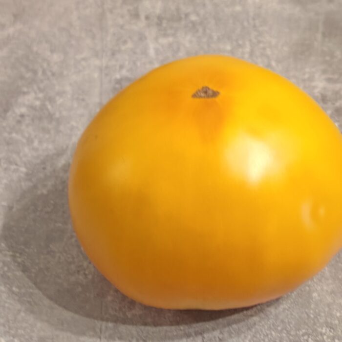 00152 Lunnyj Vostorg