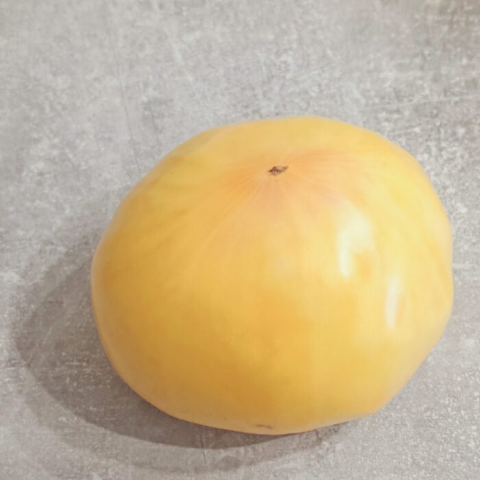 Pomidor Big White Pink Stripe