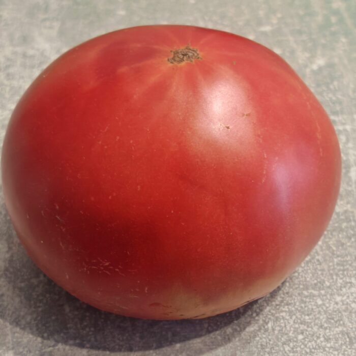 00031 Malinowy Białoruś