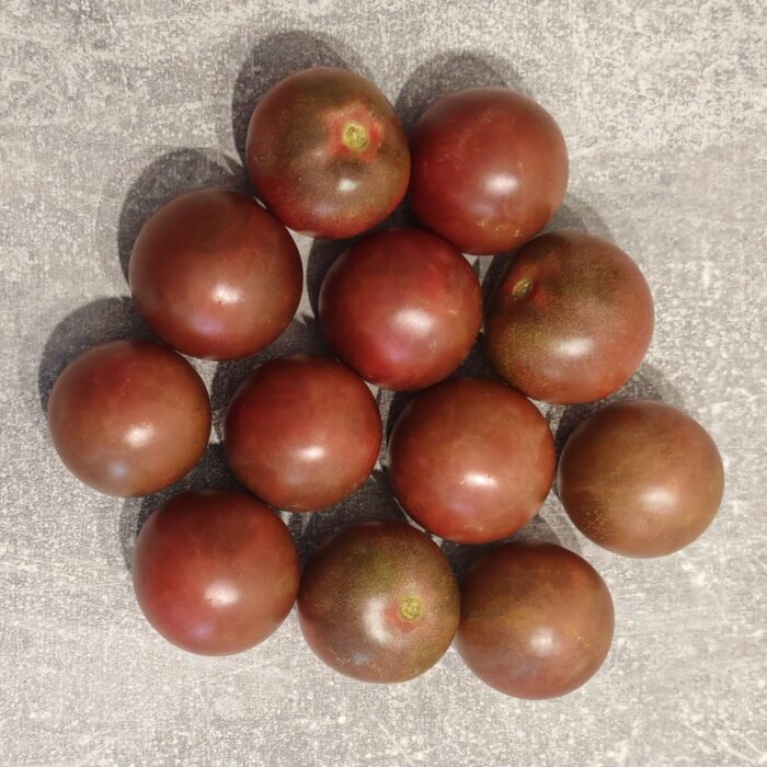 00214 Black-Chocolate Cherry