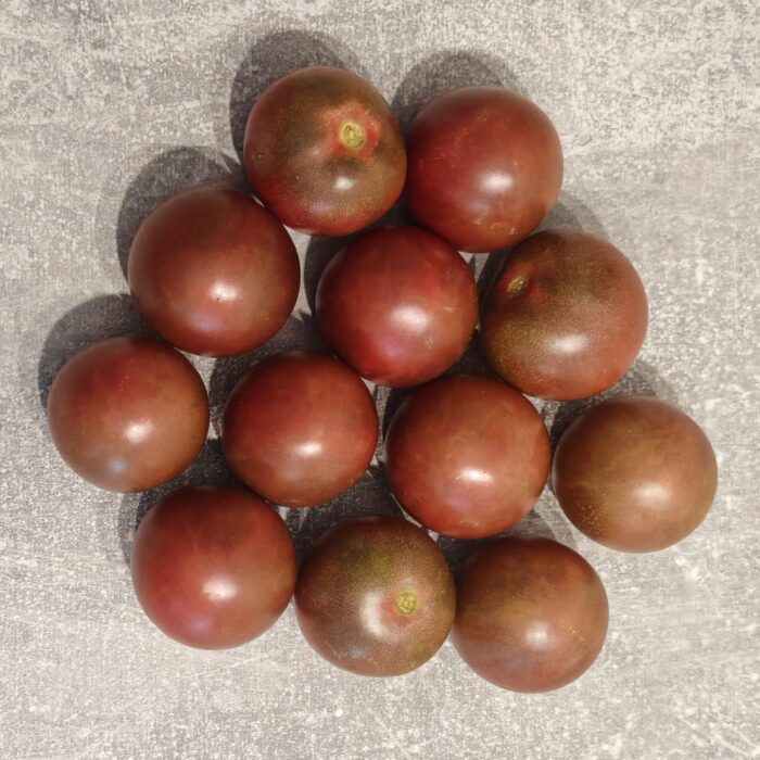 Pomidor Black Chocolate Cherry