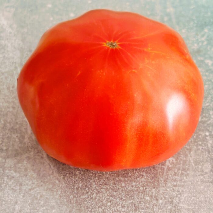 00067 Aker’s West Virginia