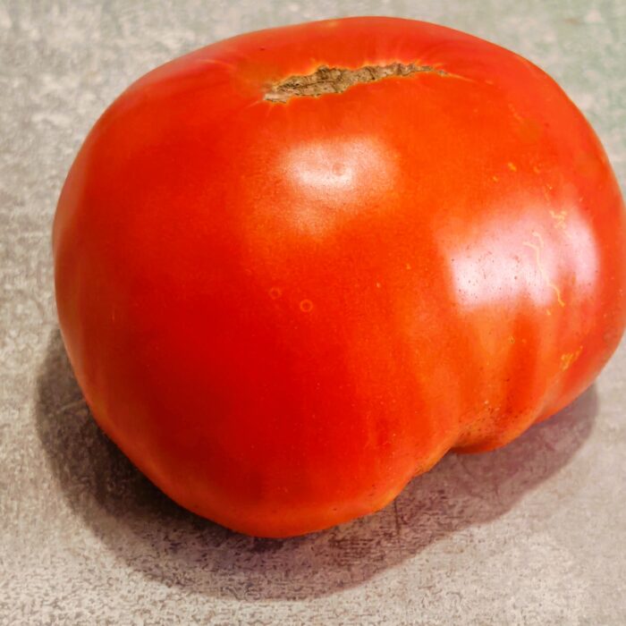 00129 Russkaya Dusha- Ruska Dusza