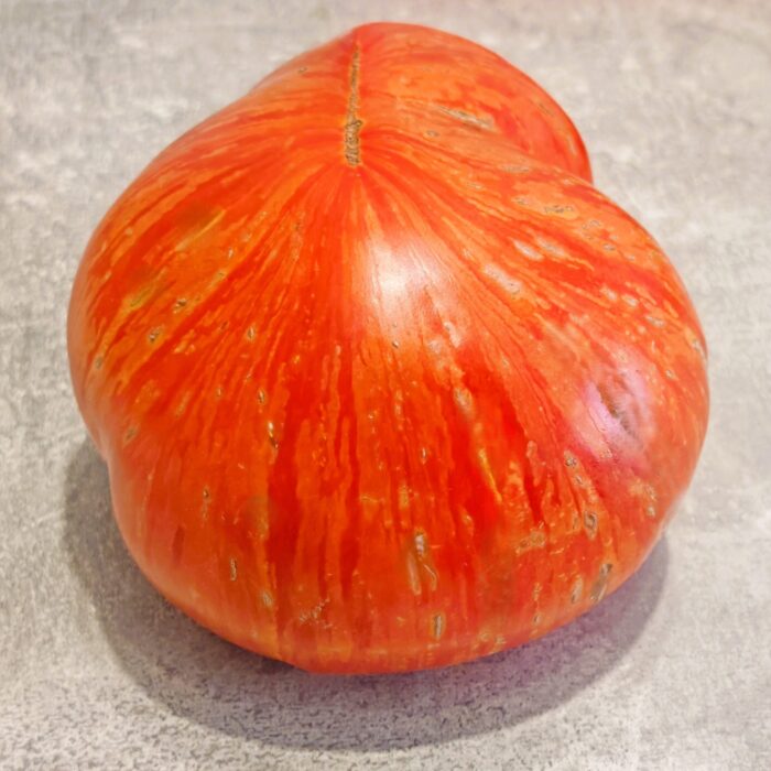 Pomidor Solar Flare