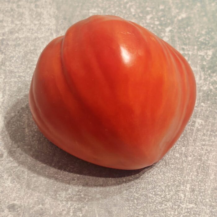 Pomidor Bull's Heart